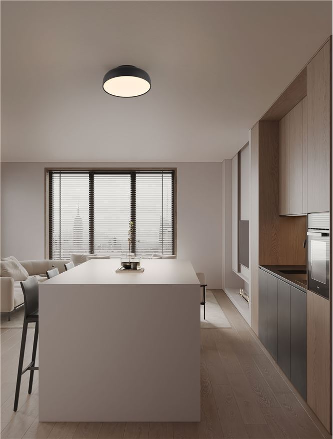 NOE Sandy Black 40cm Deep Bowl LED Flush Ceiling Light - ID 14571