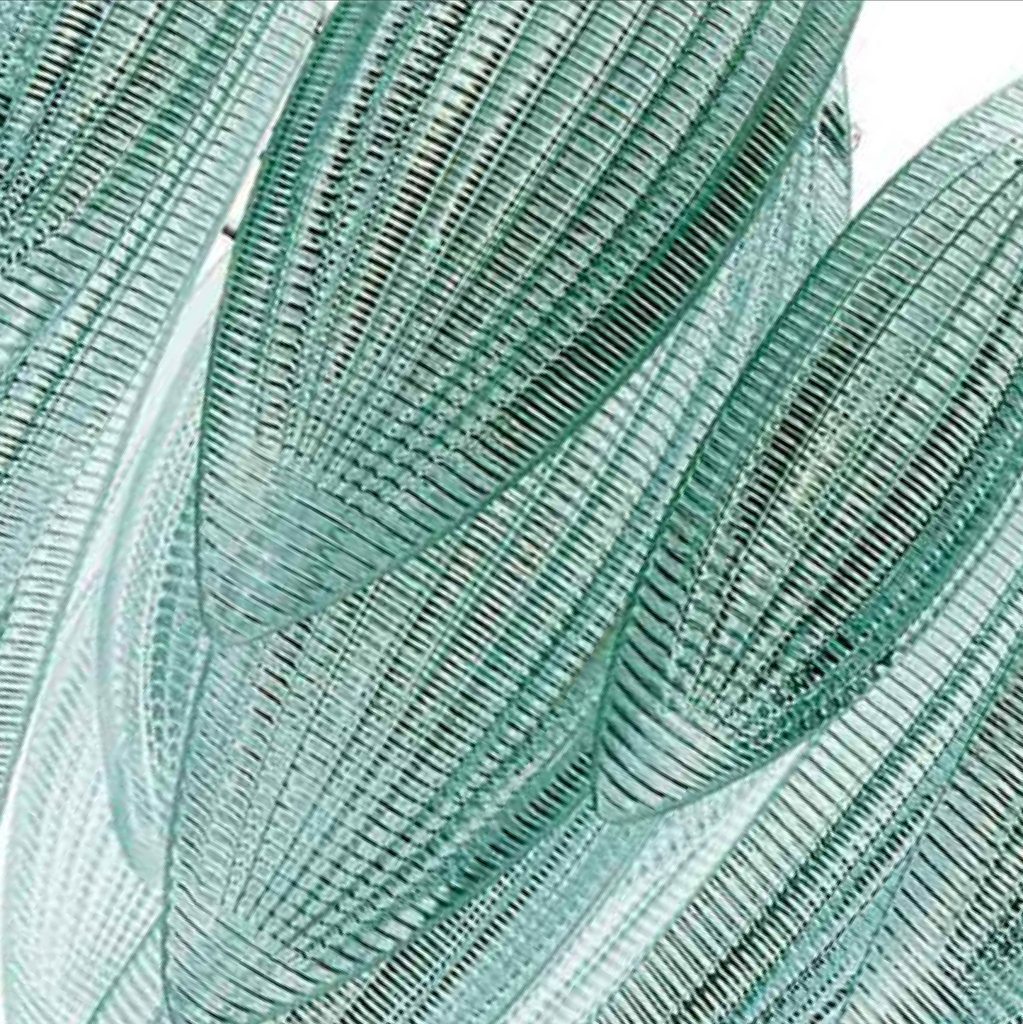 Paradise 44cm Murano Glass Chandelier
