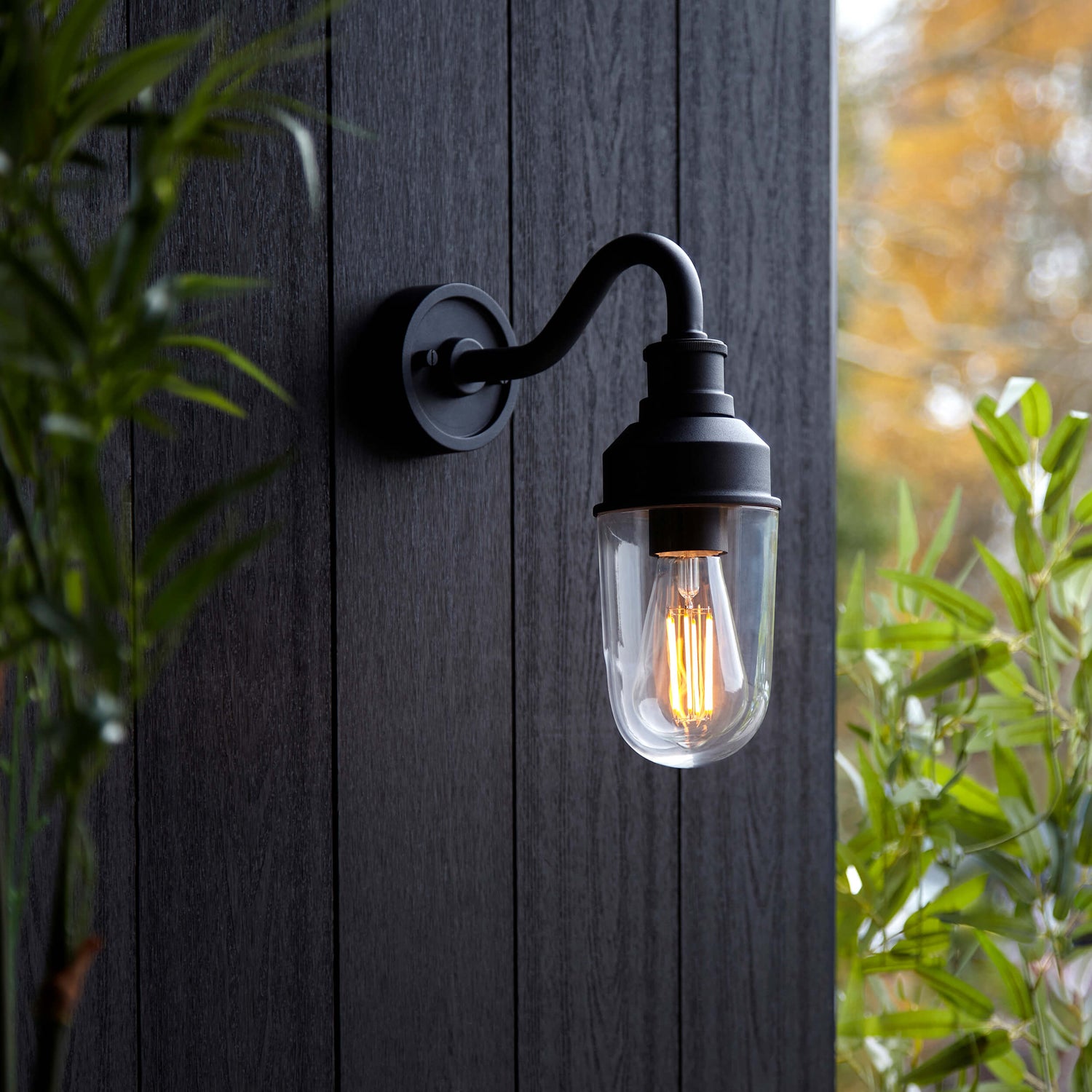 Outdoor Lights