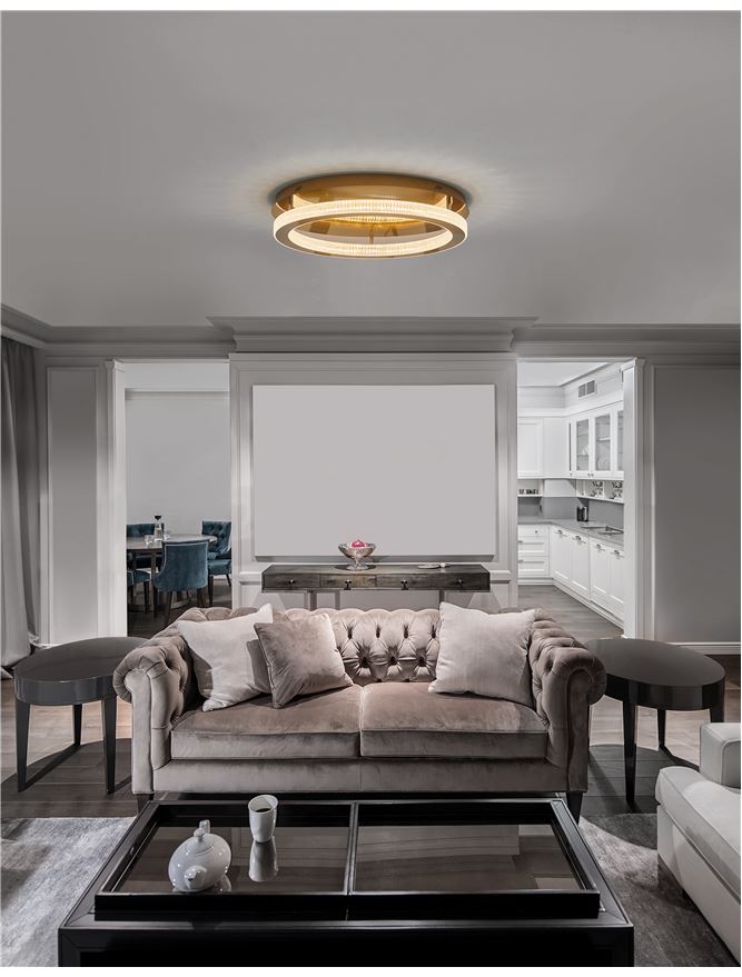 FIO Dimmable Gold & Acrylic Single Ring Flush Ceiling Light Medium - ID 10073
