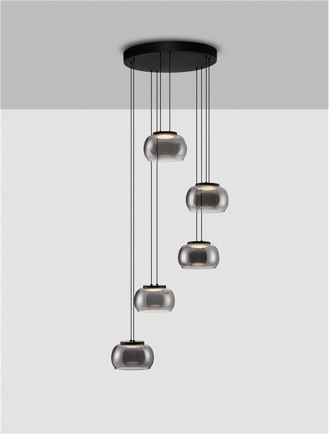 BIO Smokey Grey Glass 5 Light LED Multi Pendant - ID 14621