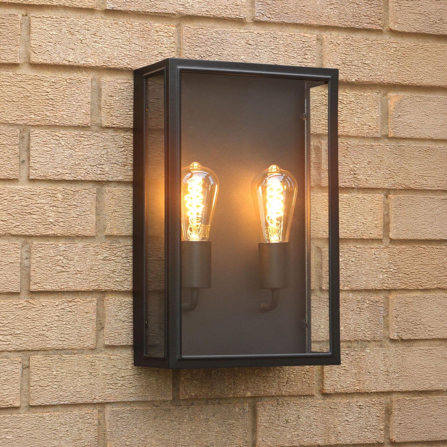 Large Matt Black and Glass 2 Lamp Outdoor Wall Light - ID 14851