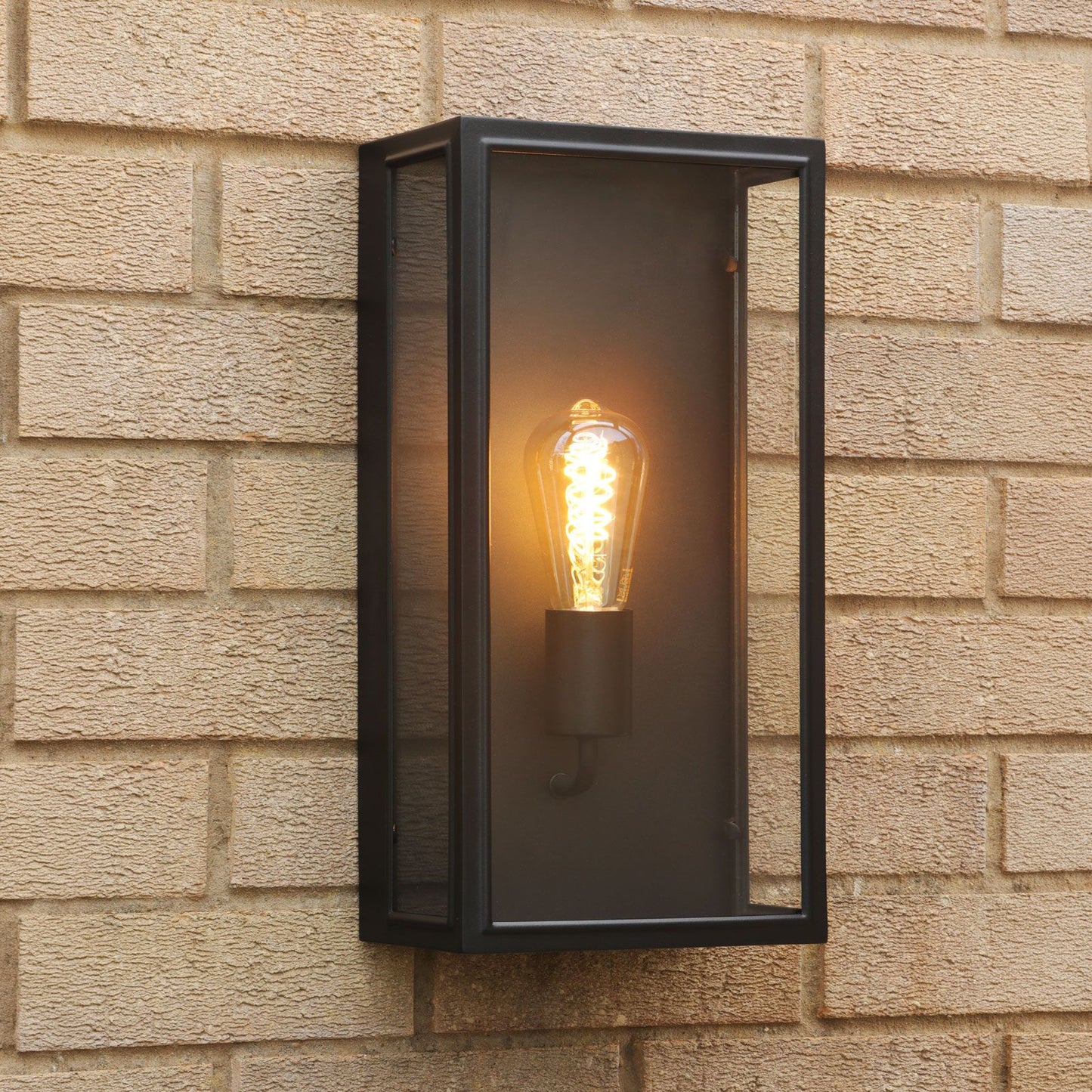 Medium Matt Black and Glass 1 Lamp Outdoor Wall Light - ID 14852