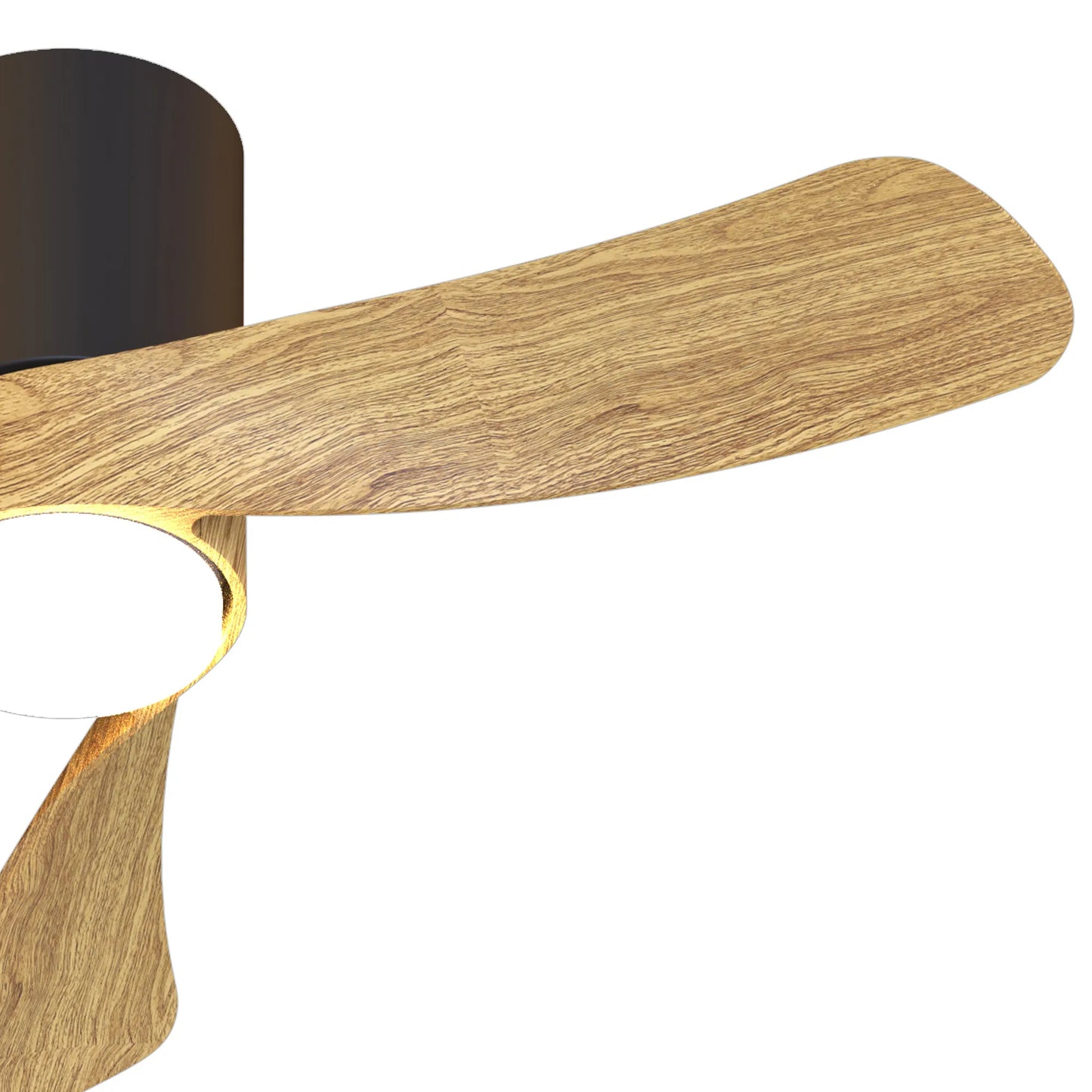 COL 72cm Ceiling Fan in Black with Fair Wood Blades - ID 14683